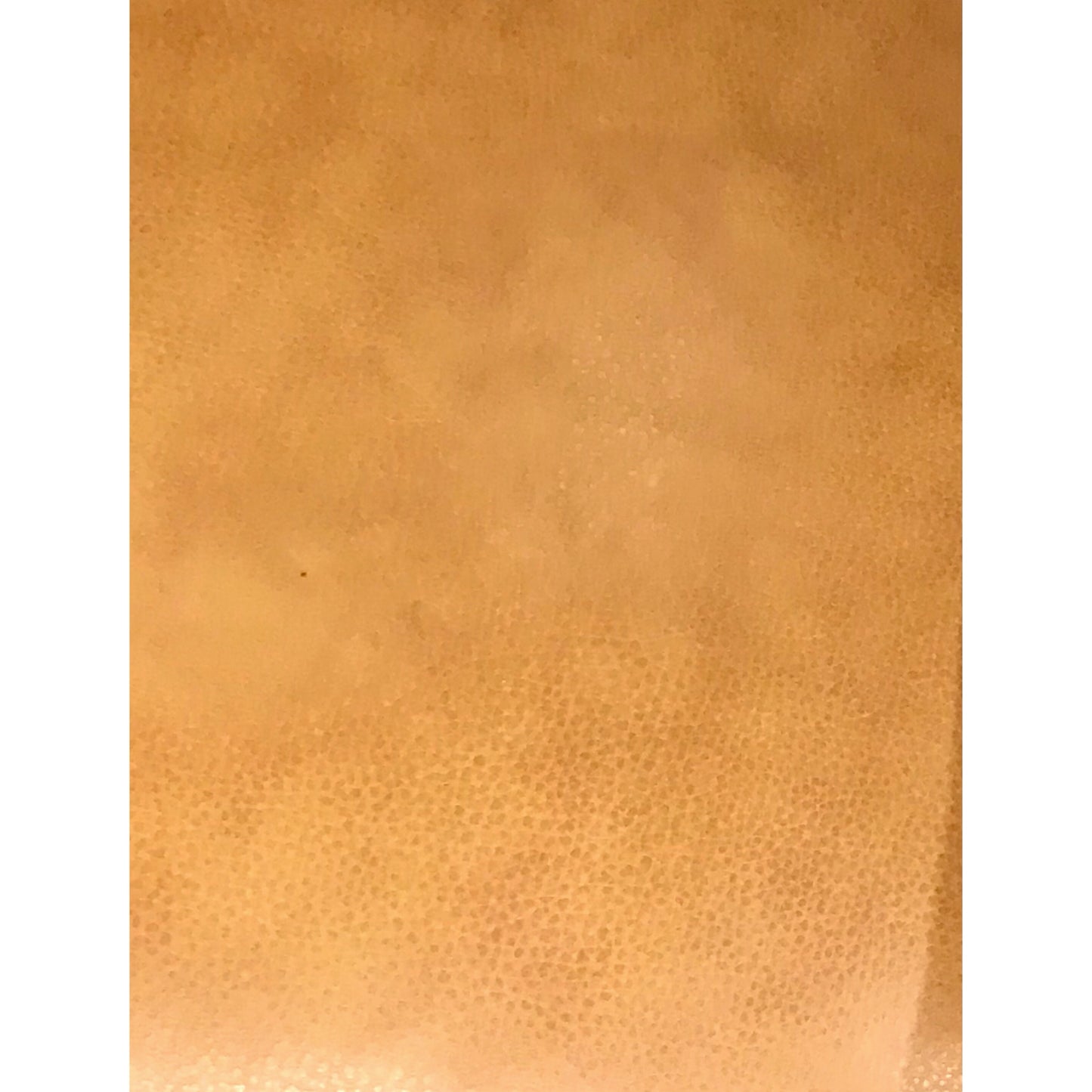 Camel Leather Loveseat