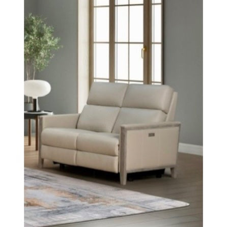 Hartman Leather Reclining Love Seat